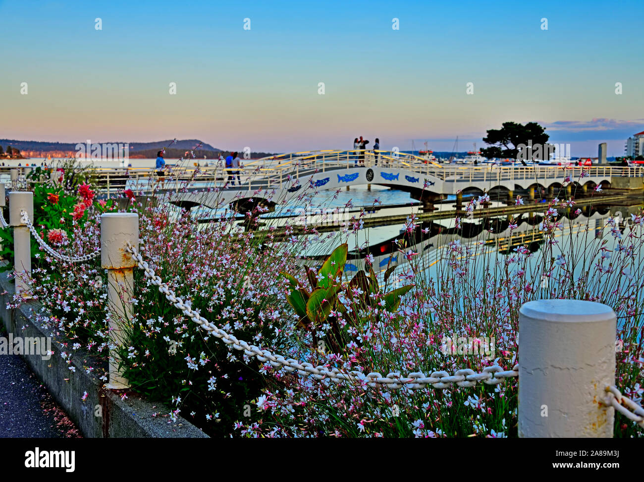 Ein Abend auf der Brücke am Hafen von Nanaimo auf Vancouver Island British Columbia Kanada Stockfoto