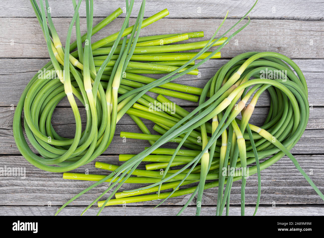 Grne Halme von Knoblauch auf Holztisch. Die verdrehte Stngel von Pflanzen  aus Samen. Vorbereitung der Sommer Salat fr gesunde Ernhrung  Stockfotografie - Alamy