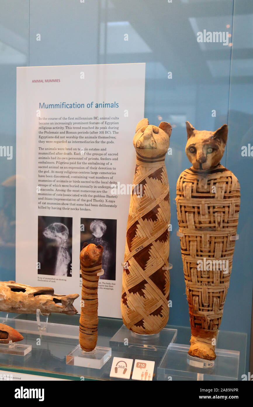 Ägyptische Mumien Tier des British Museum, London, UK Stockfoto