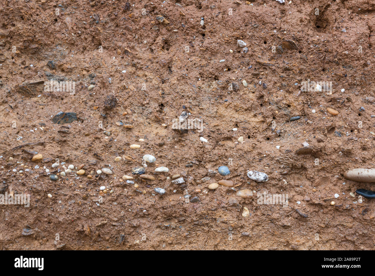 Bodenprofil, Sand und Steine in eine Felswand in Hallsands, Devon Stockfoto