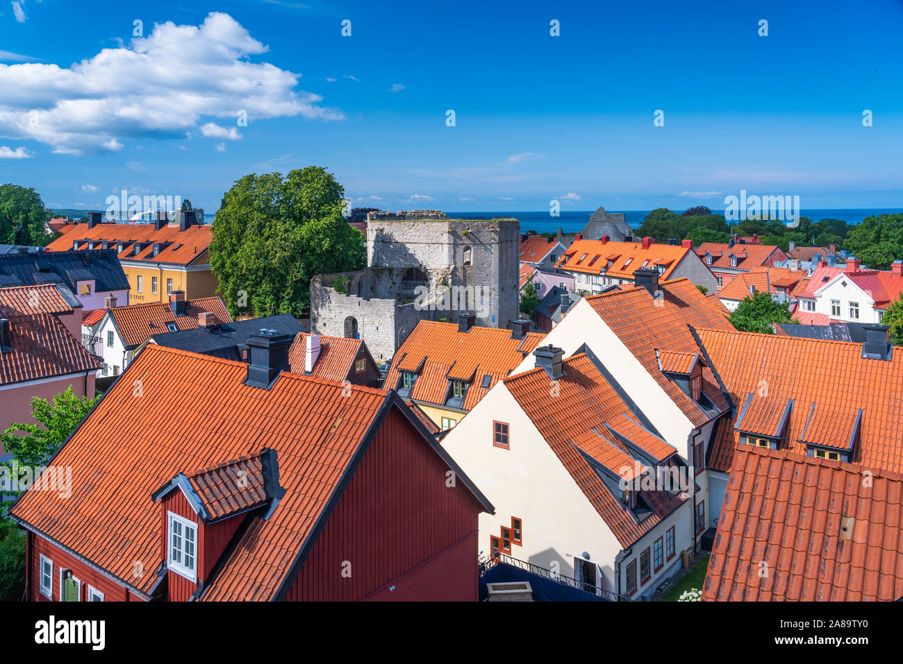 Red Roofs in der Skyline von Visby, Gotland, Schweden. Stockfoto