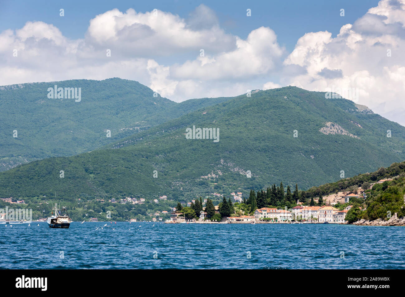 Die schönen kleinen Weiler von Rose, auf der Halbinsel Luštica, Montenegro, Bucht von Kotor Stockfoto