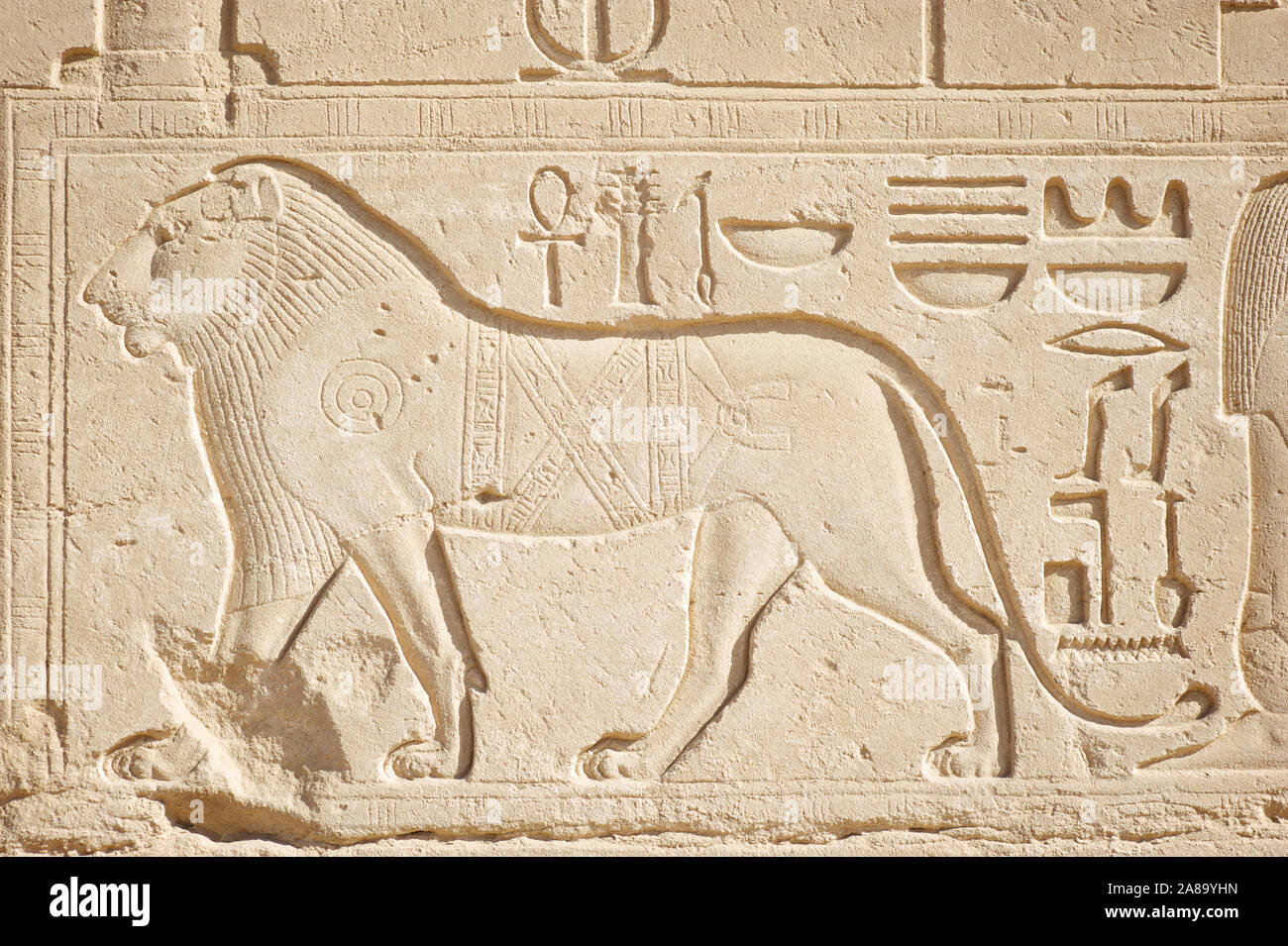Elegante Profil der männliche Löwe geschnitzt in eine hieroglyphe auf hellen Stein am Ägyptischen Tempel von Karnak, Ägypten Stockfoto
