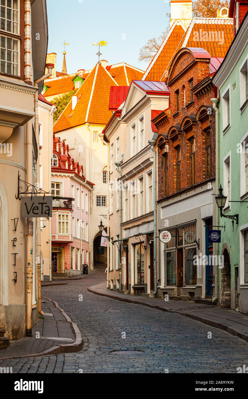 Die engen Gassen der Altstadt in Tallinn, der Hauptstadt Estlands Stadt Stockfoto