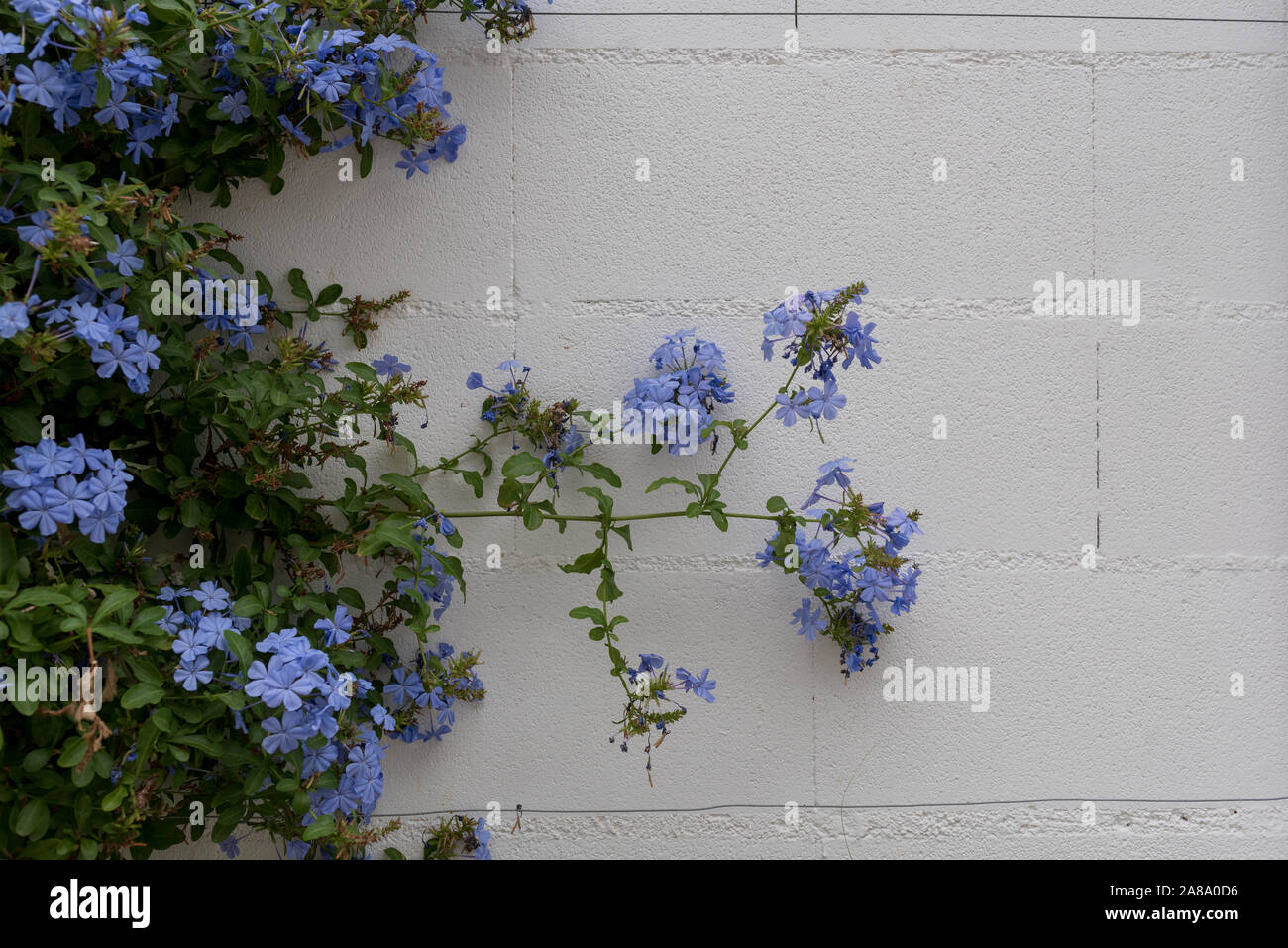 Urlaub Spanien Resort El Arenal städtische Straßen Holiday Resort Stockfoto