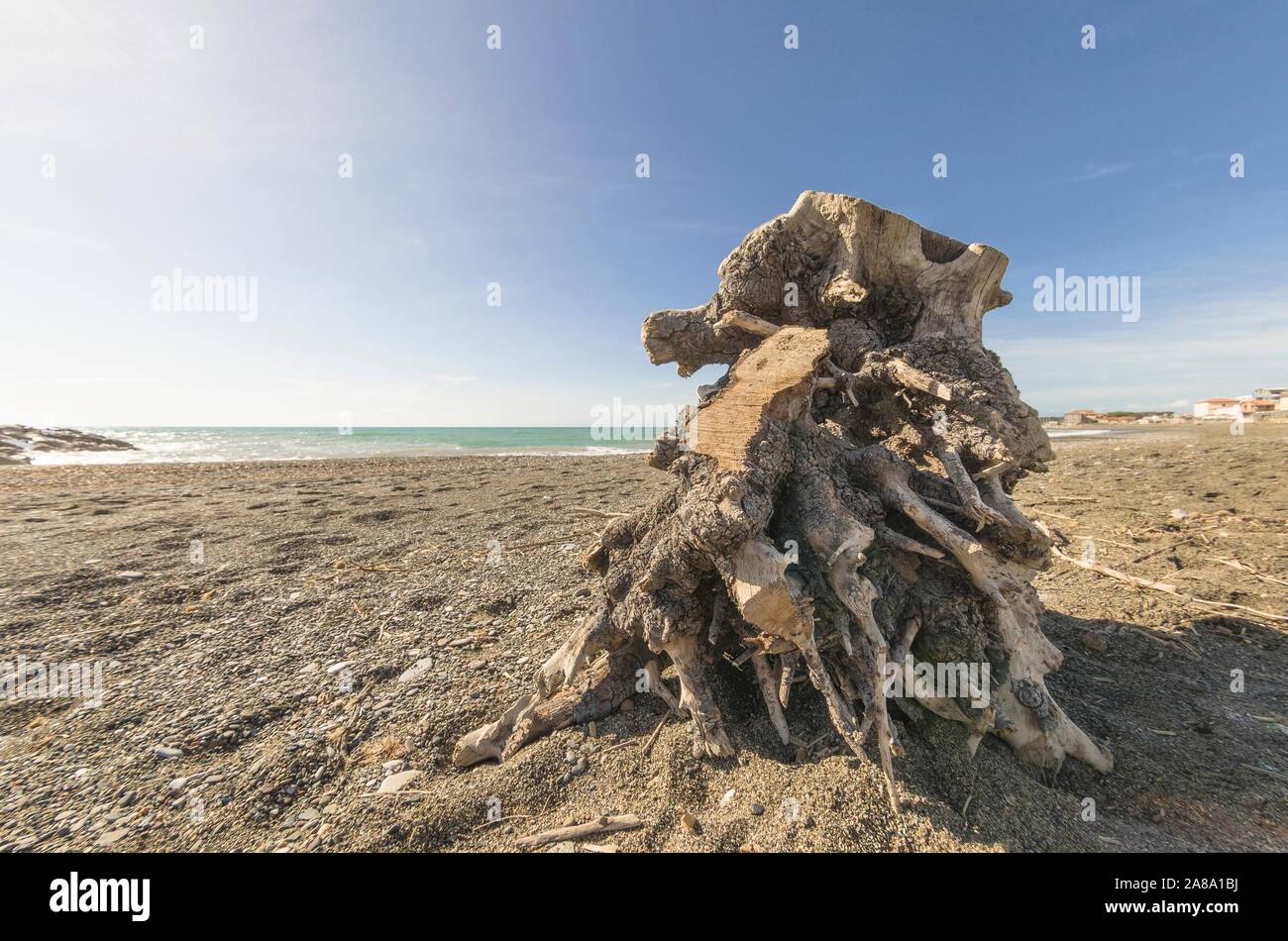 Blick auf die marine die Küste mit einem Strände trunk Stockfoto