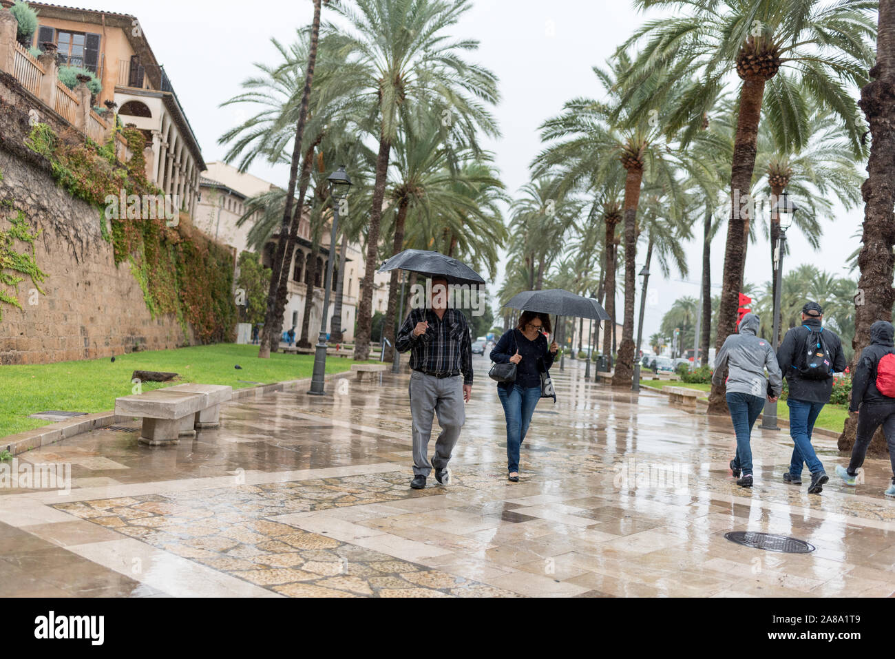 Straße Bild von Palma im Nassen mit Menschen zu Fuß mit Sonnenschirmen Stockfoto