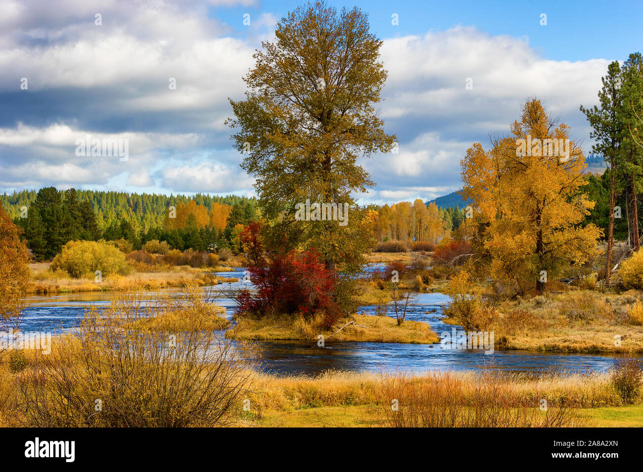 Falls Farben entlang der Williamson River in ländlichen Klamath County, Oregon Stockfoto