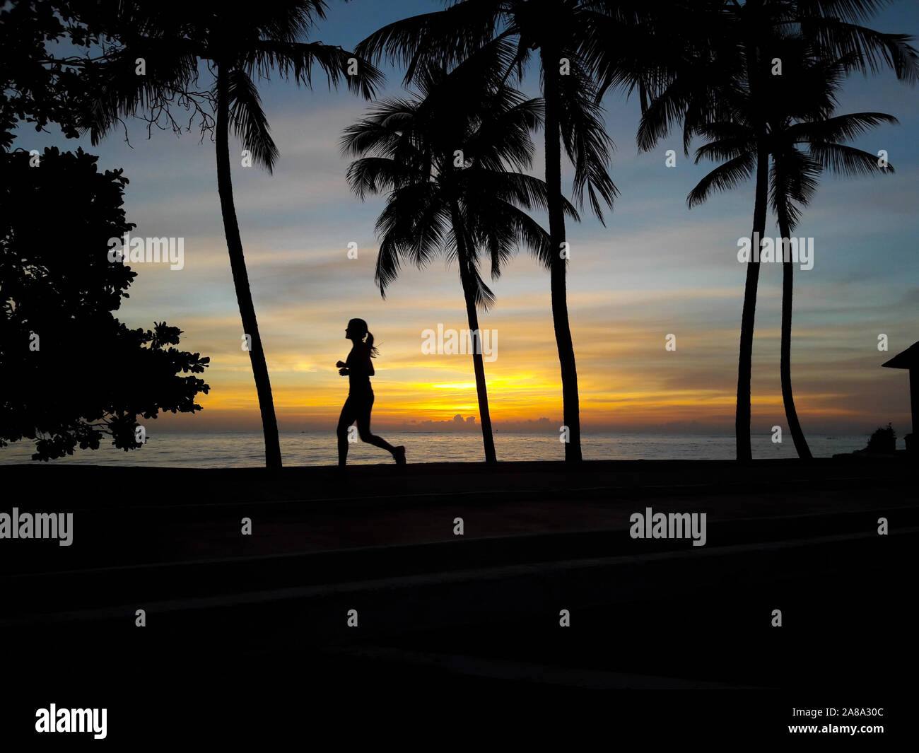 Silhouette einer Frau, die auf dem Ufer unter Kokospalmen Stockfoto