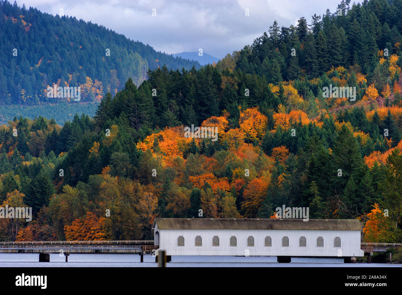 Herbstfarben in der Cascade Mountain Range, wo eine überdachte Brücke sitzt am Ufer eines Sees Stockfoto