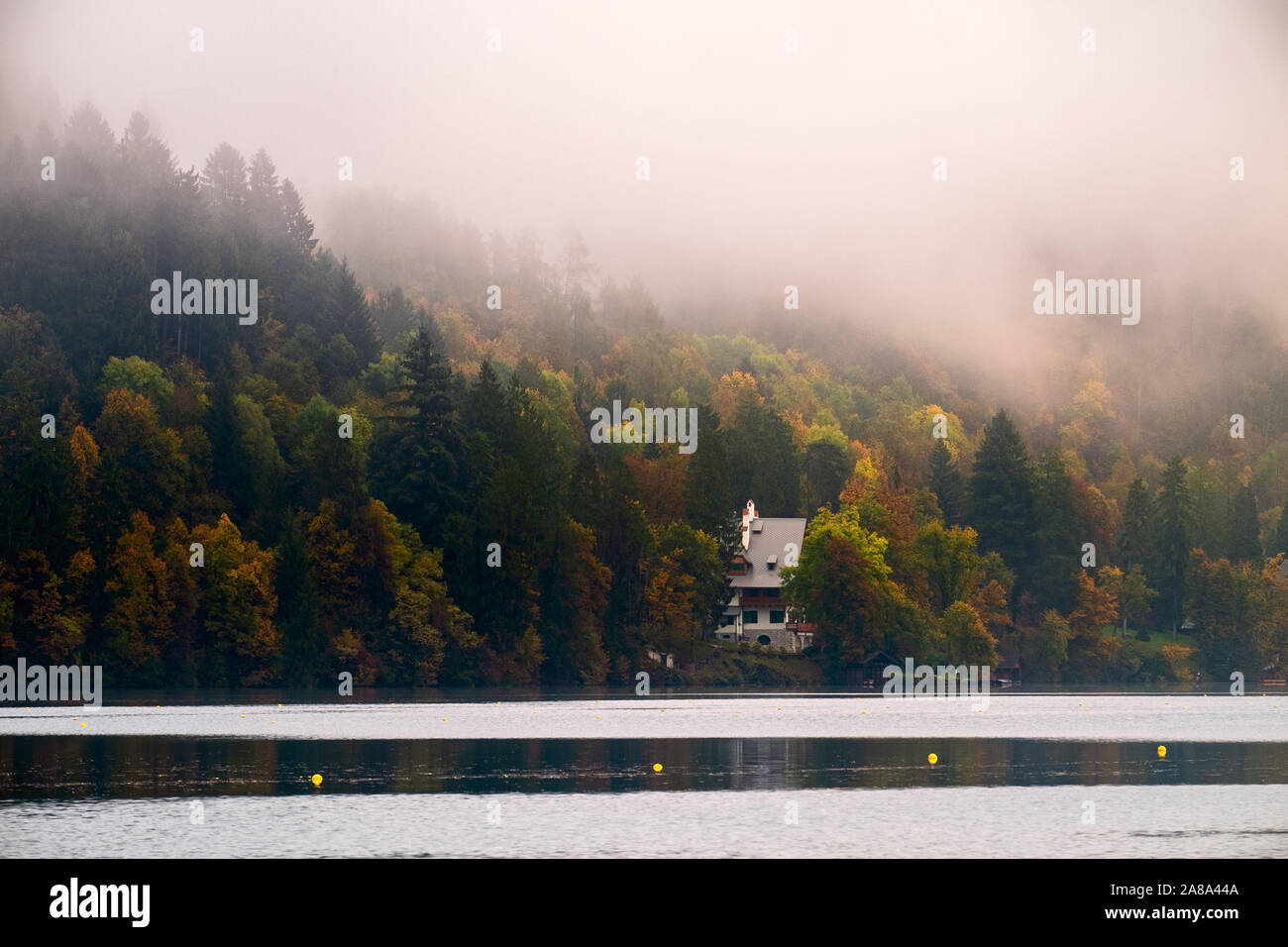 Frühe nebligen Morgen auf den Bleder See im Herbst, Slowenien Stockfoto