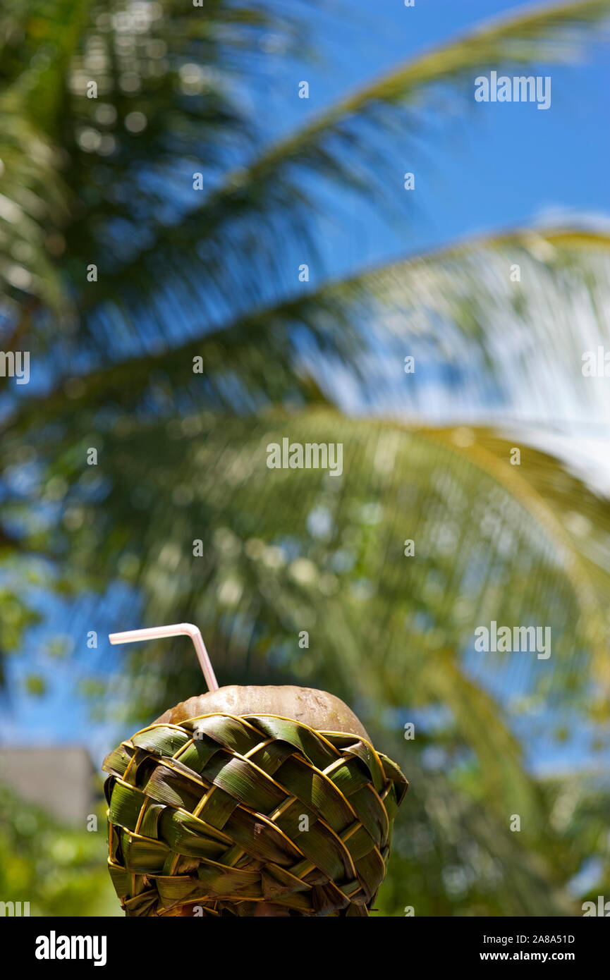 Trinken Kokosnuss im Gewebe Palme Wedel Korb sitzen in der tropischen Sonne mit Palmen im Hintergrund Stockfoto