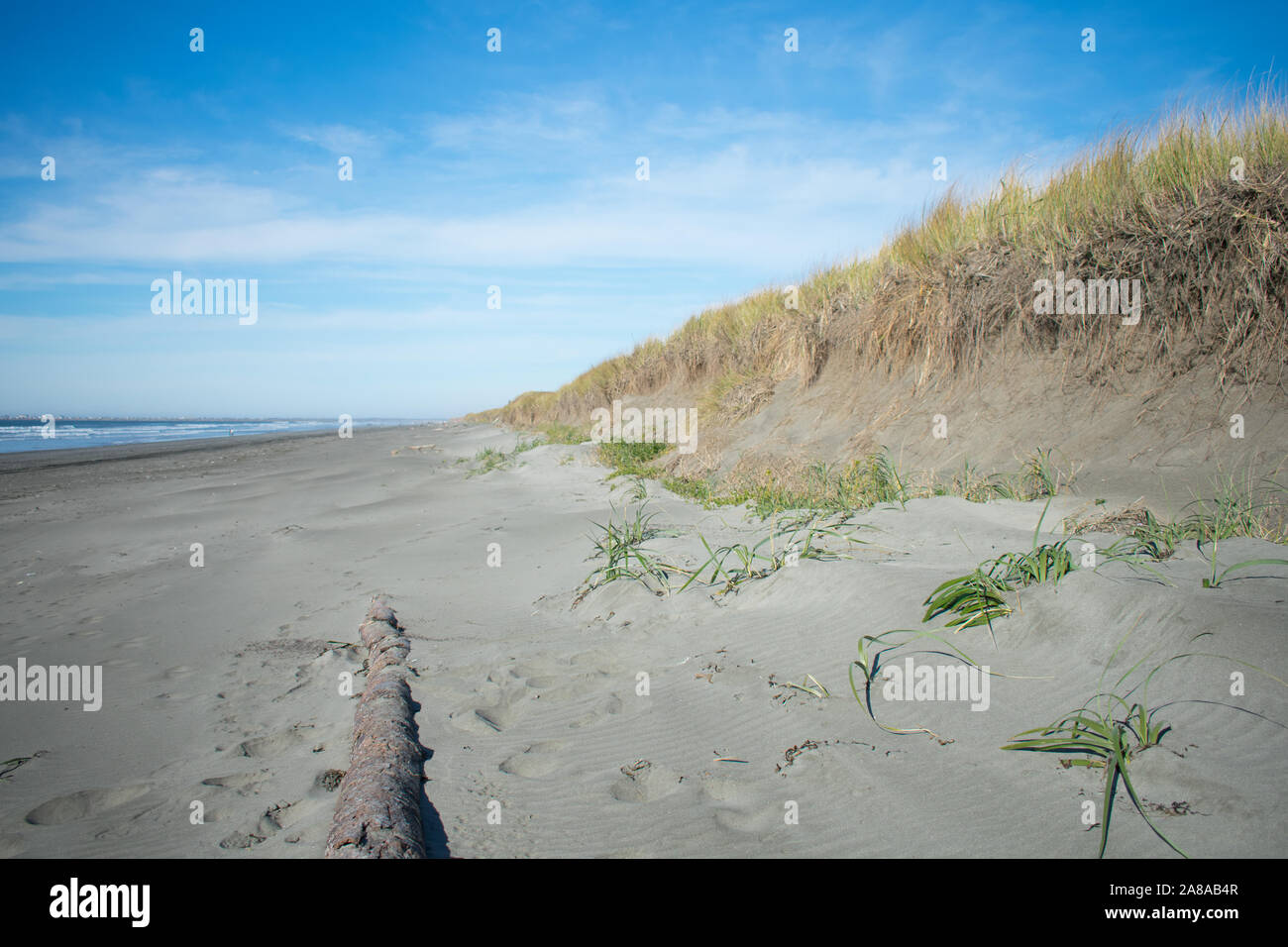Sanddünen, blauer Himmel und Strand in Westport, Washington, geringe Tiefenschärfe, Platz für Kopie Stockfoto