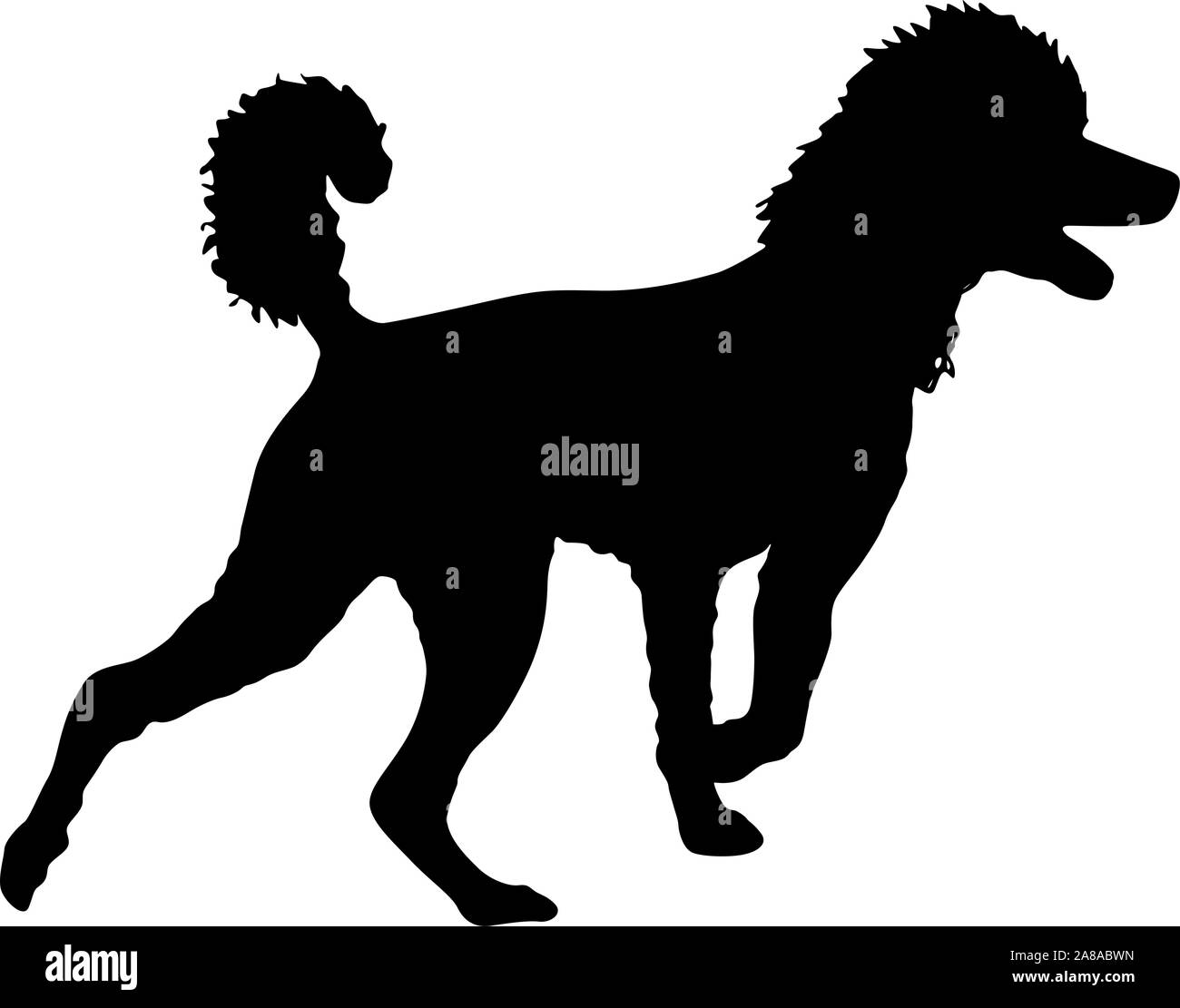 Pudel Hund Silhouette auf einem weißen Hintergrund. Stock Vektor