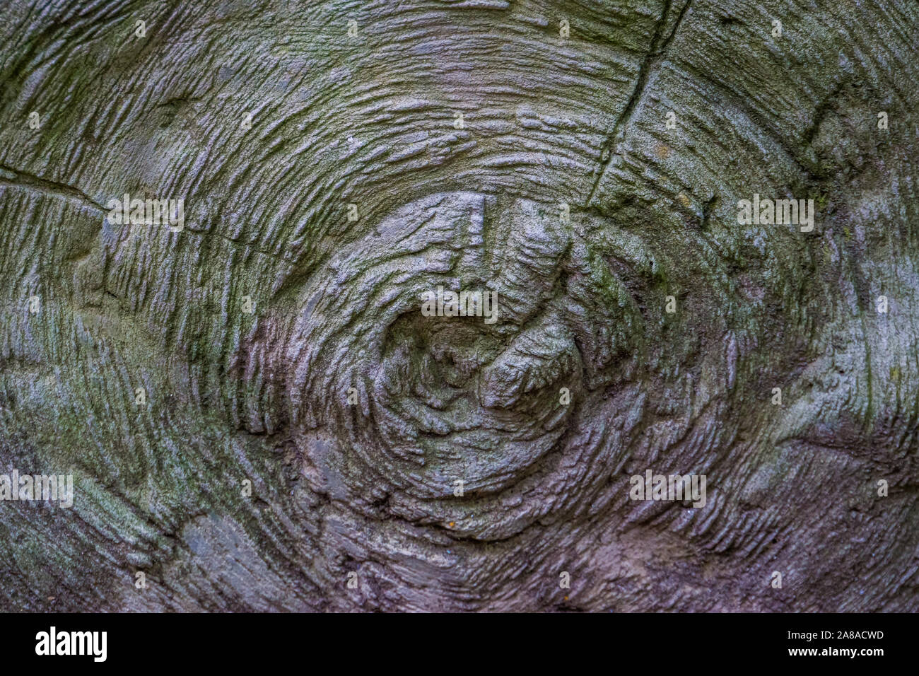 Stein kreisförmige Muster Hintergrund, steinige Textur, Details einer Boulder Stockfoto