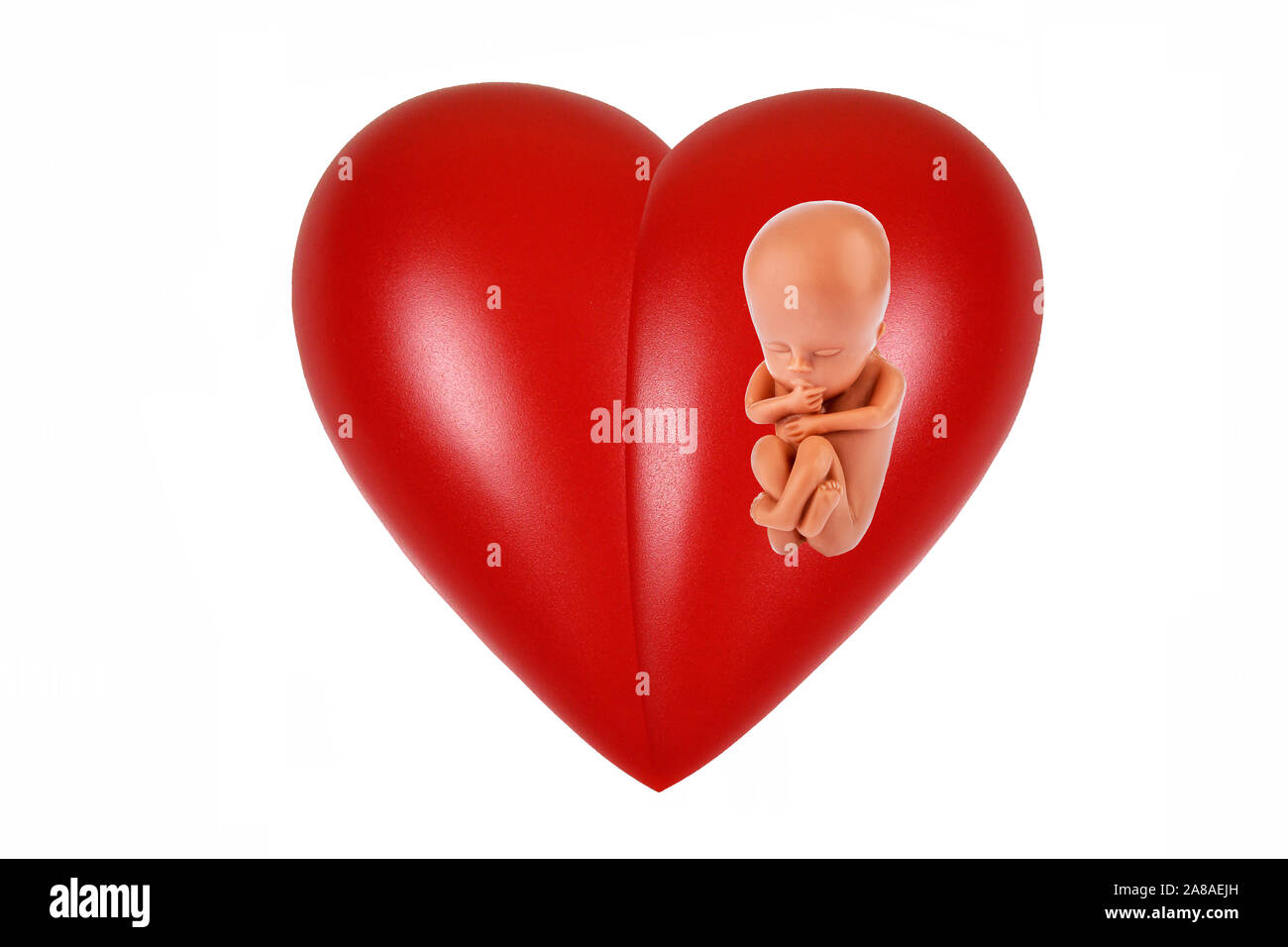 Fotus Stockfotos Und Bilder Kaufen Alamy