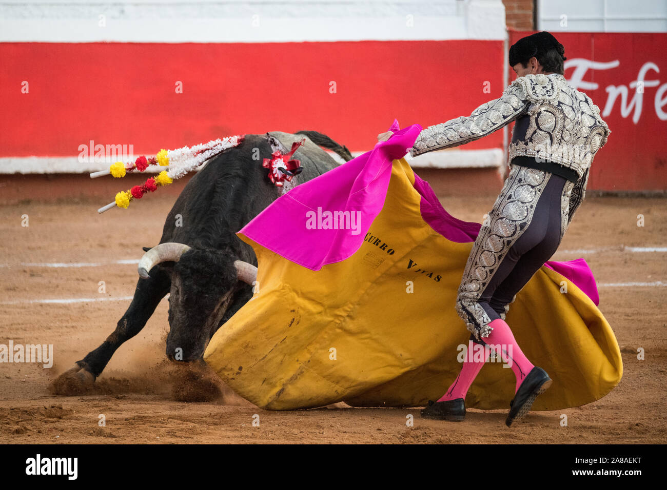 Mexikanische Matador Curro Vivas präsentiert seine Kap zu den Stier wie bei einem Stierkampf im Plaza de Toros in San Miguel de Allende, Mexiko. Stockfoto