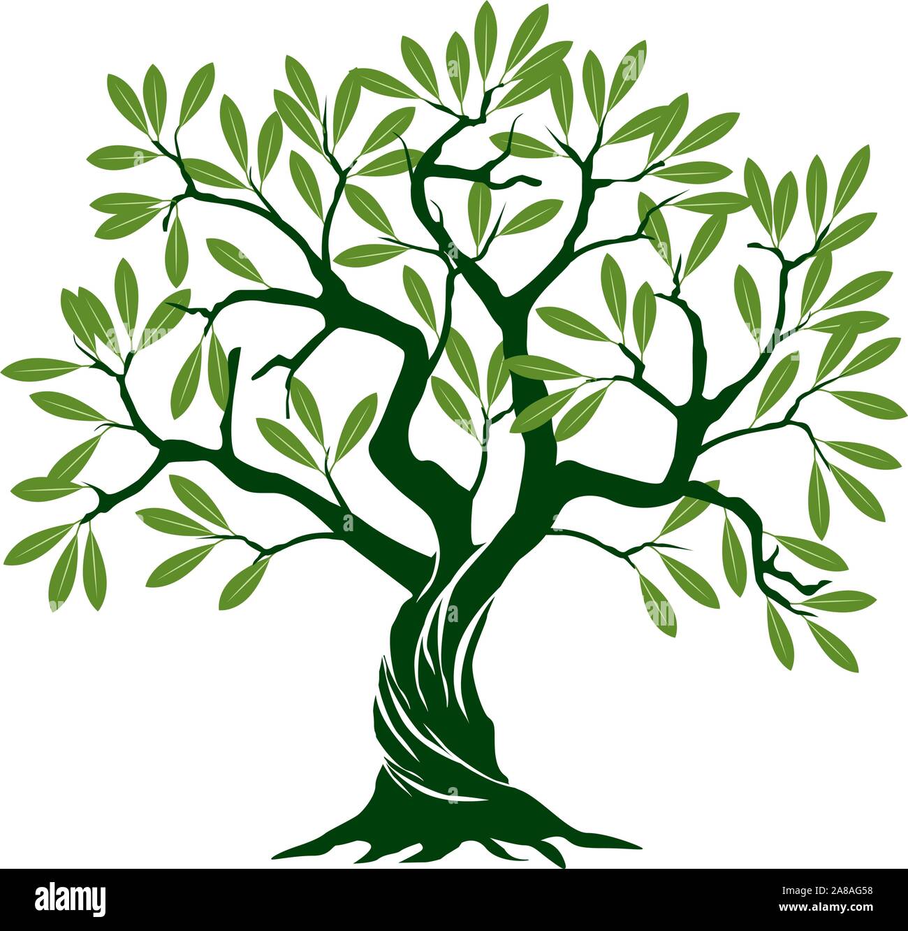 Grüne Olive Tree n weißen Hintergrund. Vector Illustration und concept Piktogramm. Pflanze im Garten. Stock Vektor