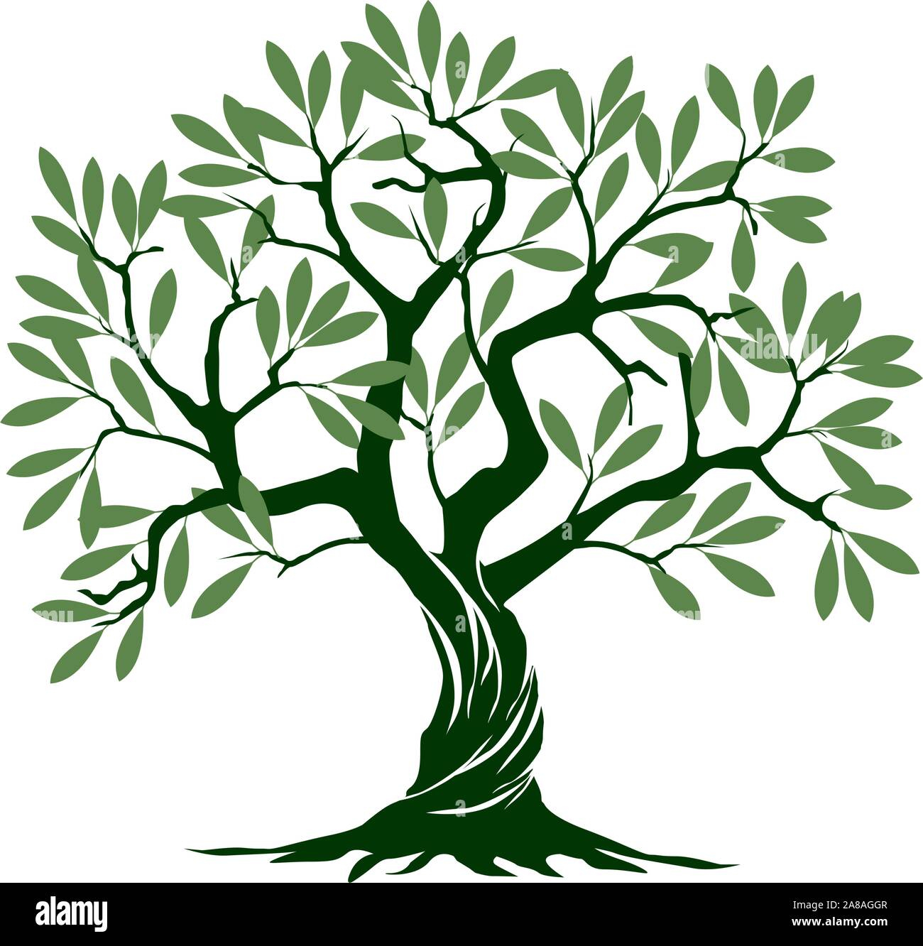 Grüne Olive Tree n weißen Hintergrund. Vector Illustration und concept Piktogramm. Pflanze im Garten. Stock Vektor