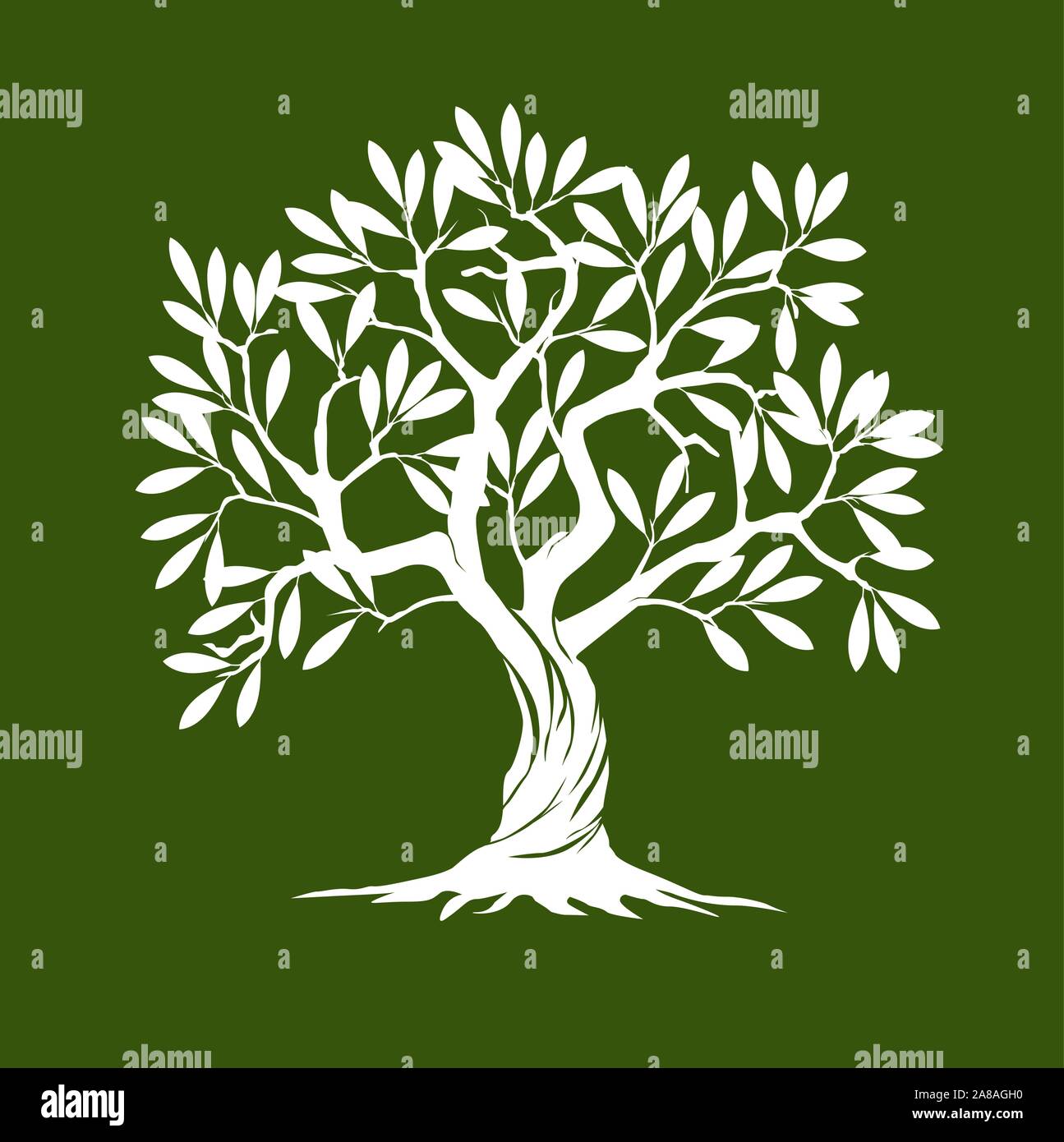 Weiß Olivenbaum auf grünem Hintergrund. Vector Illustration und concept Piktogramm. Pflanze im Garten. Stock Vektor