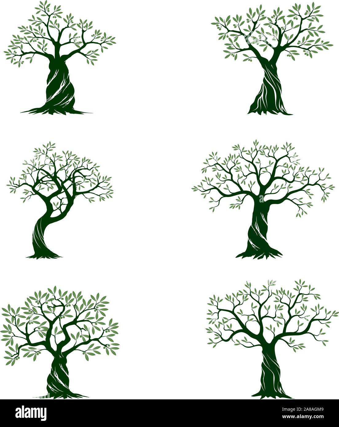 Satz von Grün Isoliert Olivenbäumen auf weißem Hintergrund. Vector Illustration und concept Piktogramm. Pflanze im Garten. Stock Vektor