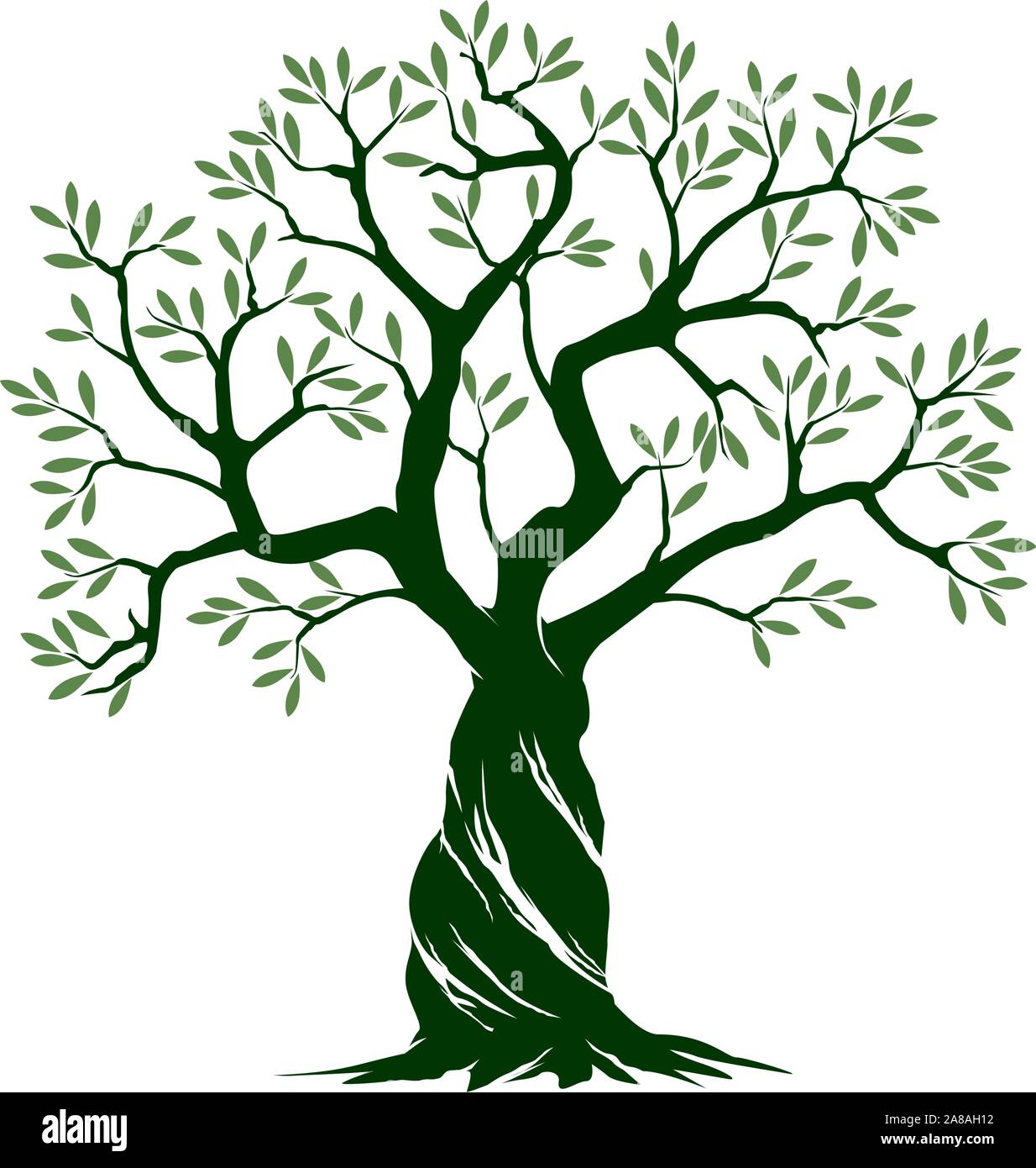 Grün Isoliert Olivenbaum auf weißem Hintergrund. Vector Illustration und Konzept. Pflanze im Garten. Stock Vektor