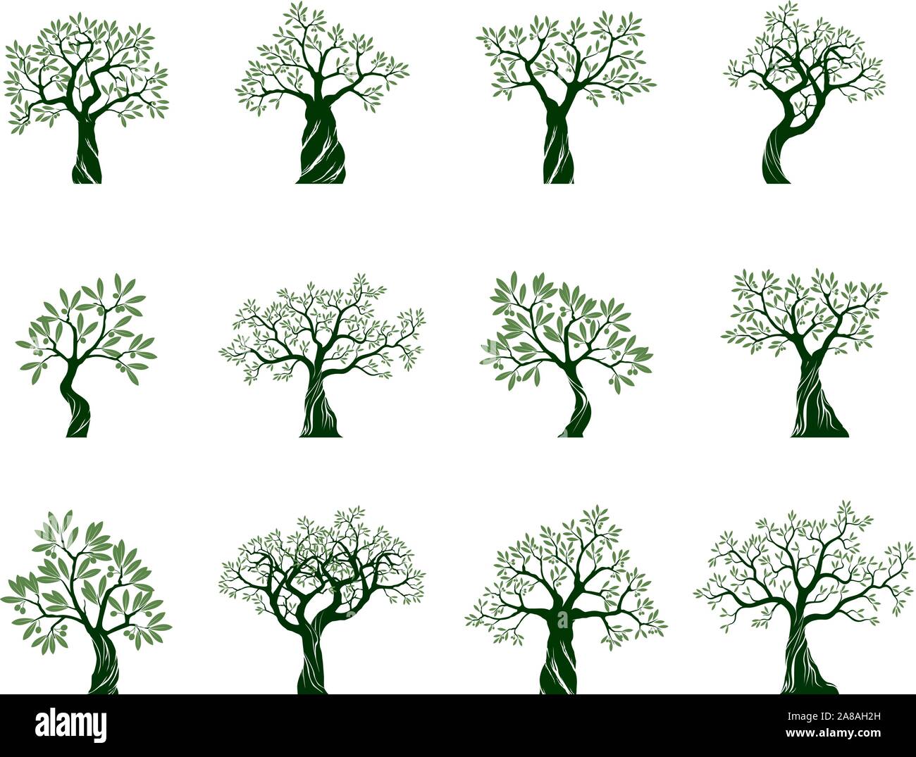 Satz von Grün Isoliert Olivenbäumen auf weißem Hintergrund. Vector Illustration und concept Piktogramm. Pflanze im Garten. Stock Vektor