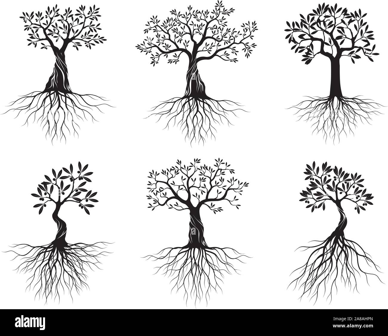 Satz von Schwarz isoliert Olivenbäume mit Wurzeln auf weißem Hintergrund. Vector Illustration und concept Piktogramm. Pflanze im Garten. Stock Vektor