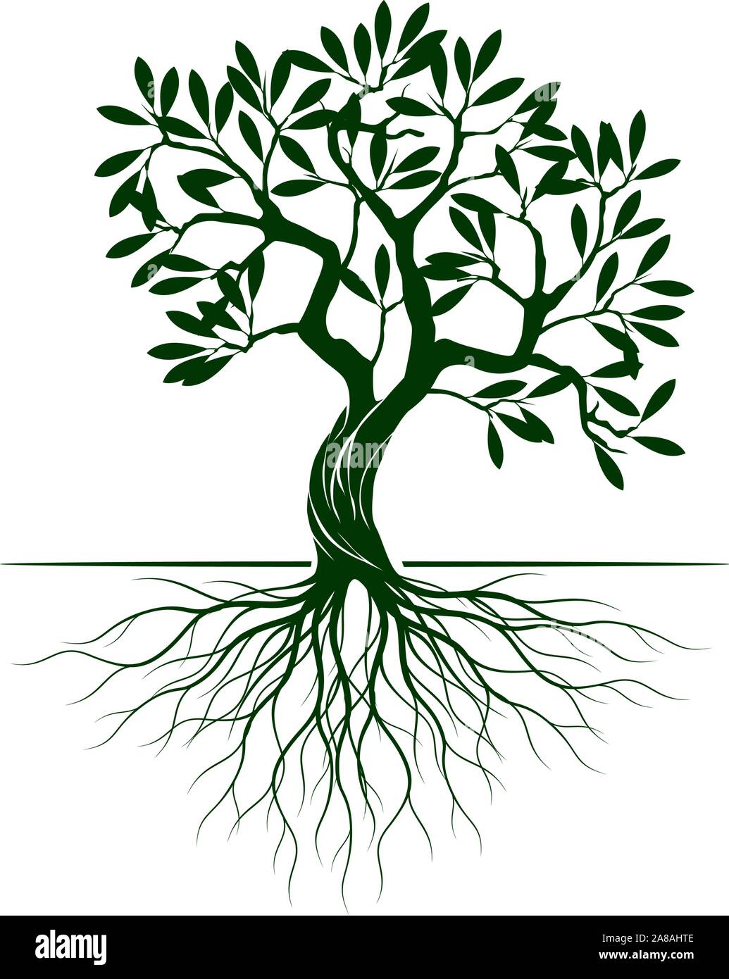 Grüne Oliven Baum mit Wurzeln auf weißem Hintergrund. Vector Illustration und concept Piktogramm. Pflanze im Garten. Stock Vektor