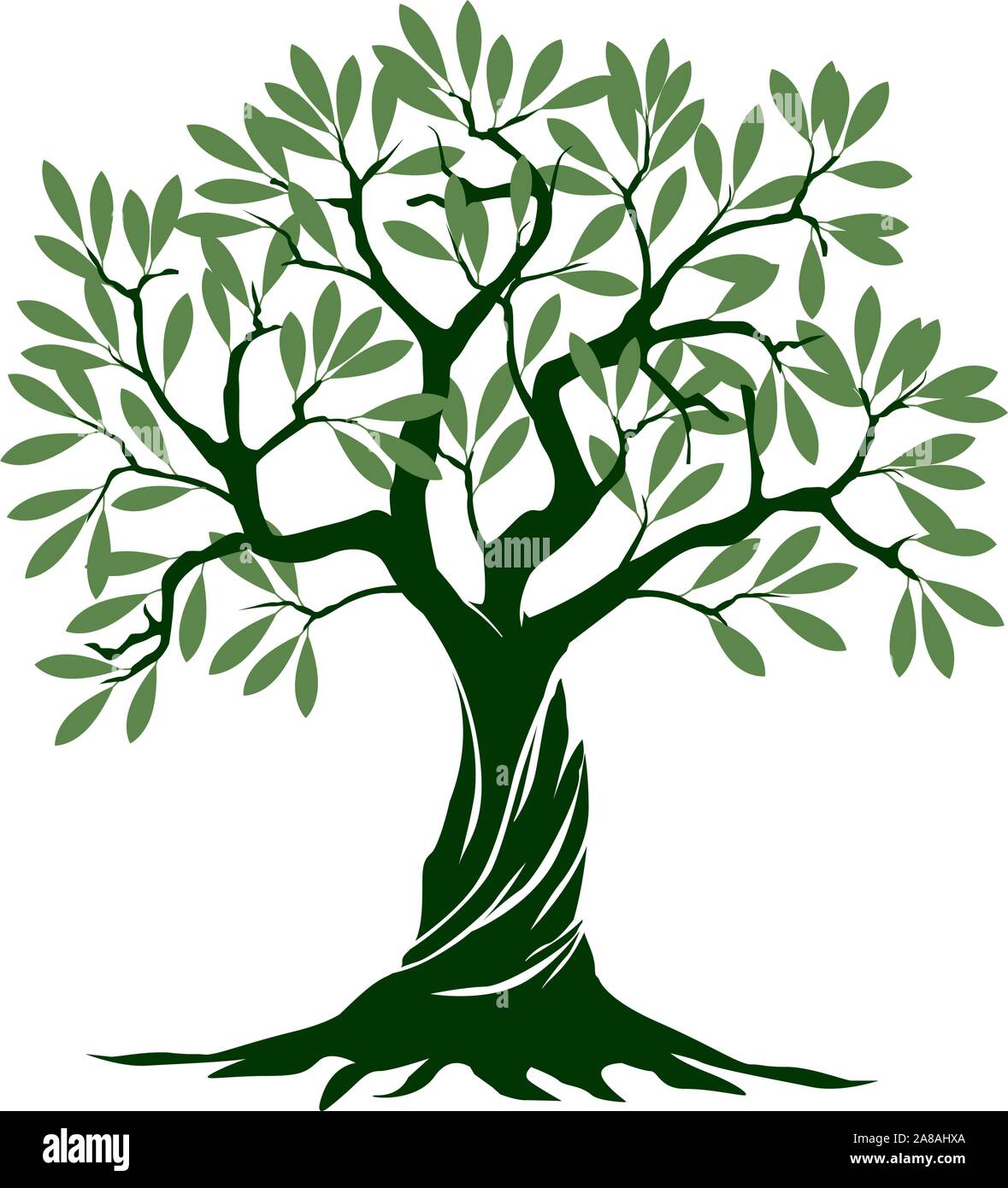 Grüne Olive Tree auf weißem Hintergrund. Vector Illustration und concept Piktogramm. Pflanze im Garten. Stock Vektor