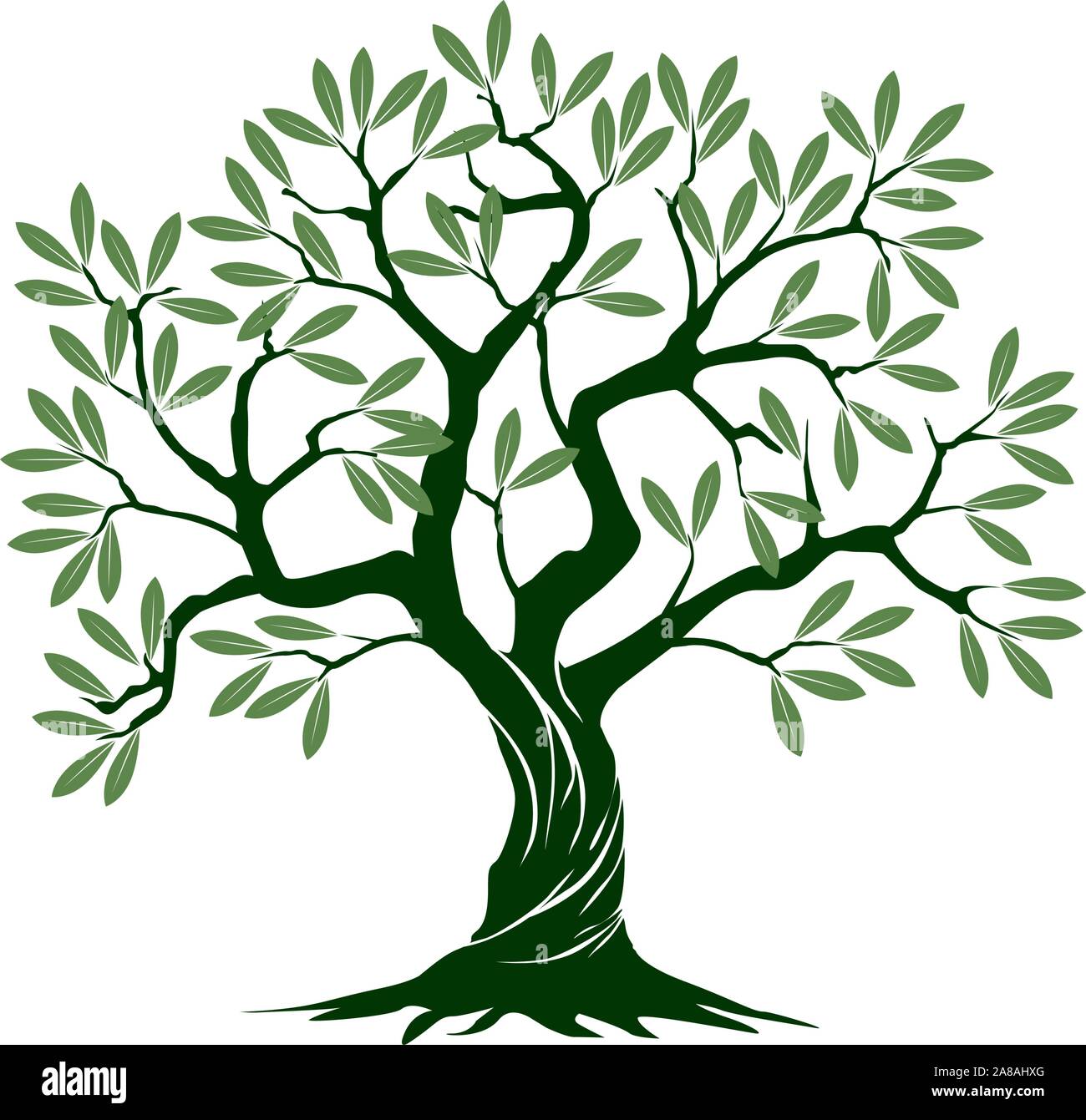 Grün Isoliert Olivenbaum auf weißem Hintergrund. Vector Illustration und concept Piktogramm. Pflanze im Garten. Stock Vektor