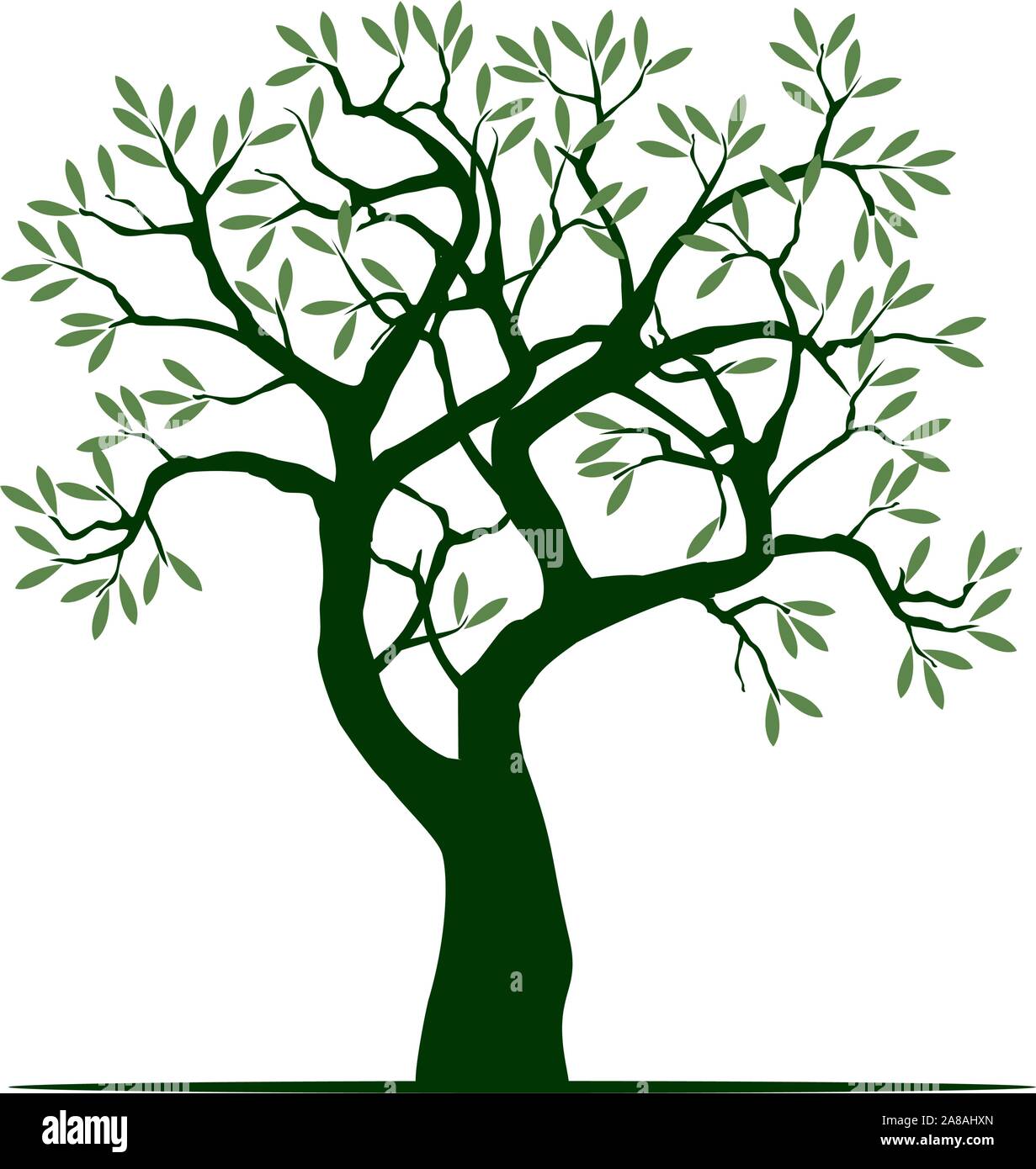 Grün Isoliert Olivenbaum auf weißem Hintergrund. Vector Illustration und Konzept. Pflanze im Garten. Stock Vektor