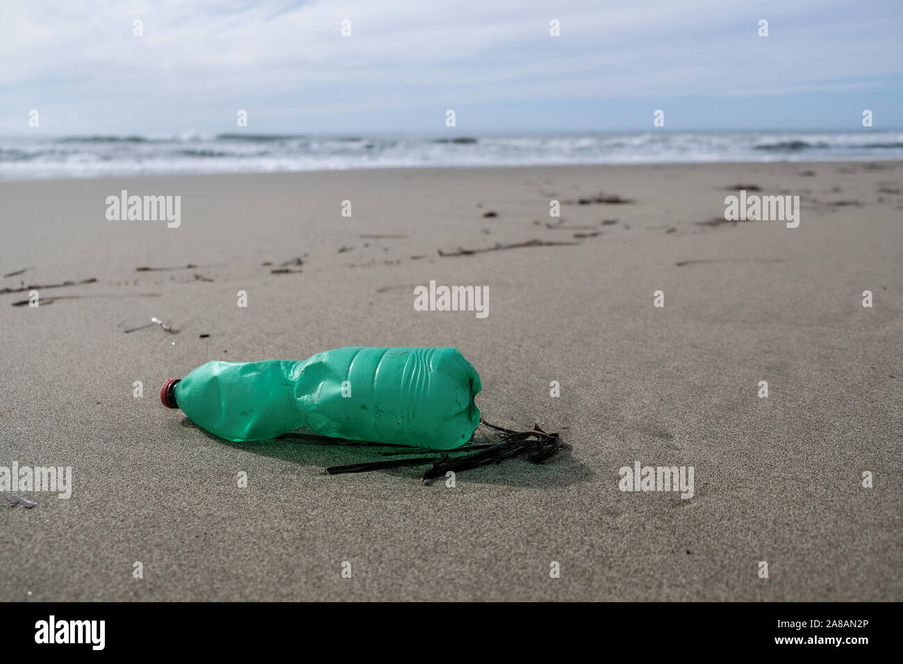 Grün Kunststoff Flasche am Meer, umweltfreundliche Ökosystem Erde retten Konzept Stockfoto