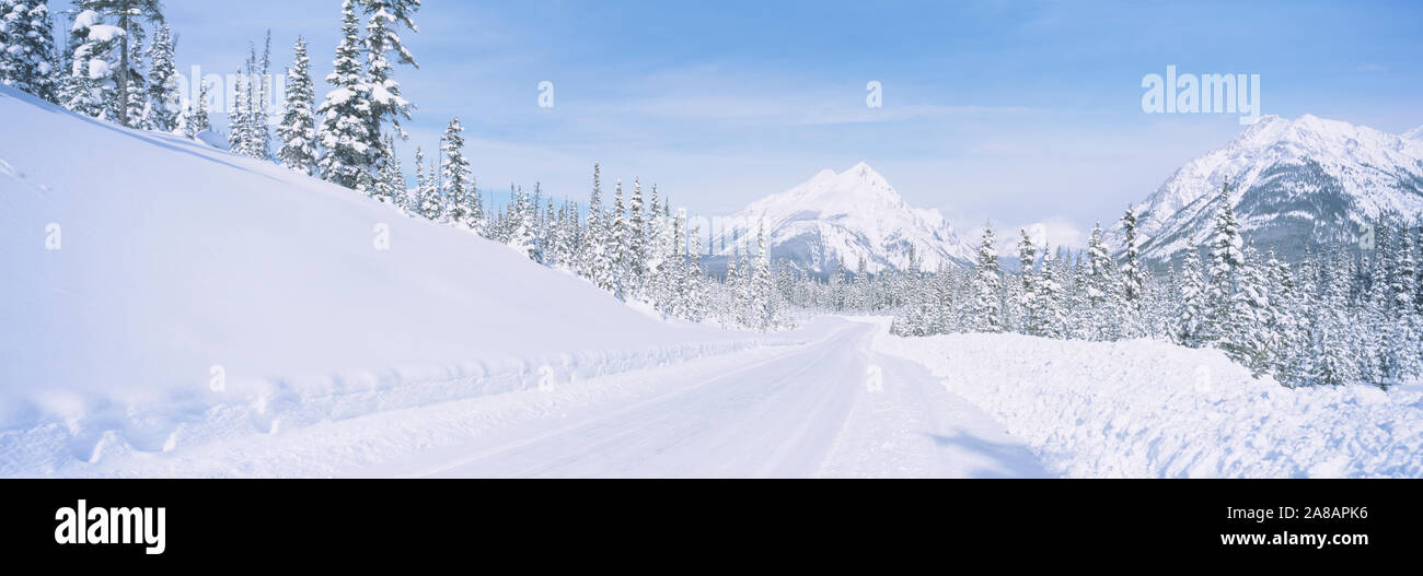 Autobahn durch eine verschneite Landschaft, Alberta, Kanada, Stockfoto