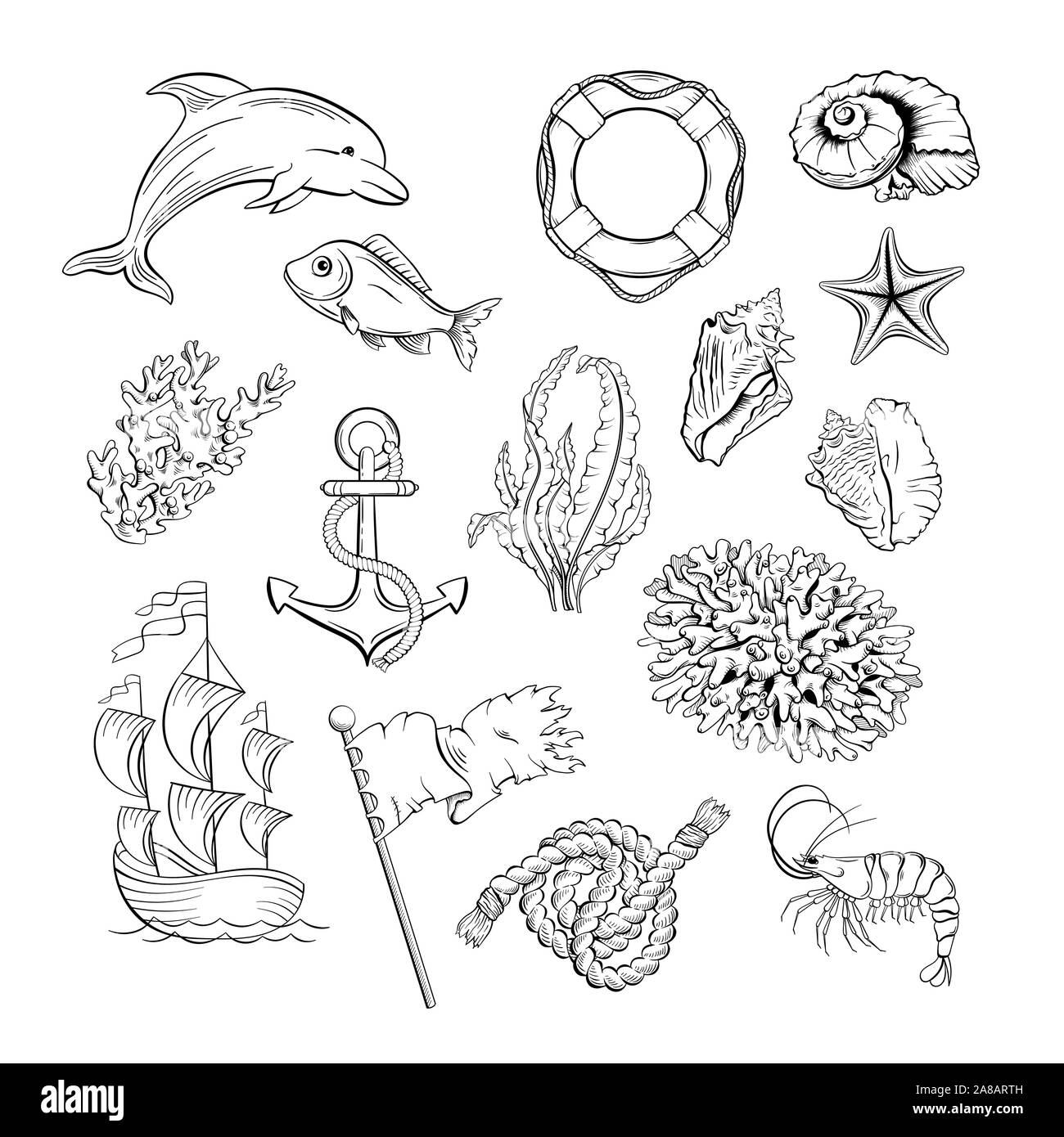 Marine Schwarz-weiss Abbildungen eingestellt. Flora, Fauna und Segeln attribute Hand gezeichnet Kugelschreiber Symbole pack. Sealife, ocean Wild, Fisch und Muscheln dekorative Strichzeichnungen Stock Vektor