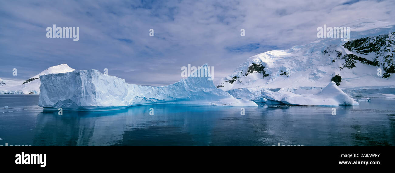 Eisberg schwimmend auf dem Wasser, Paradise Bay, Antarktis Stockfoto