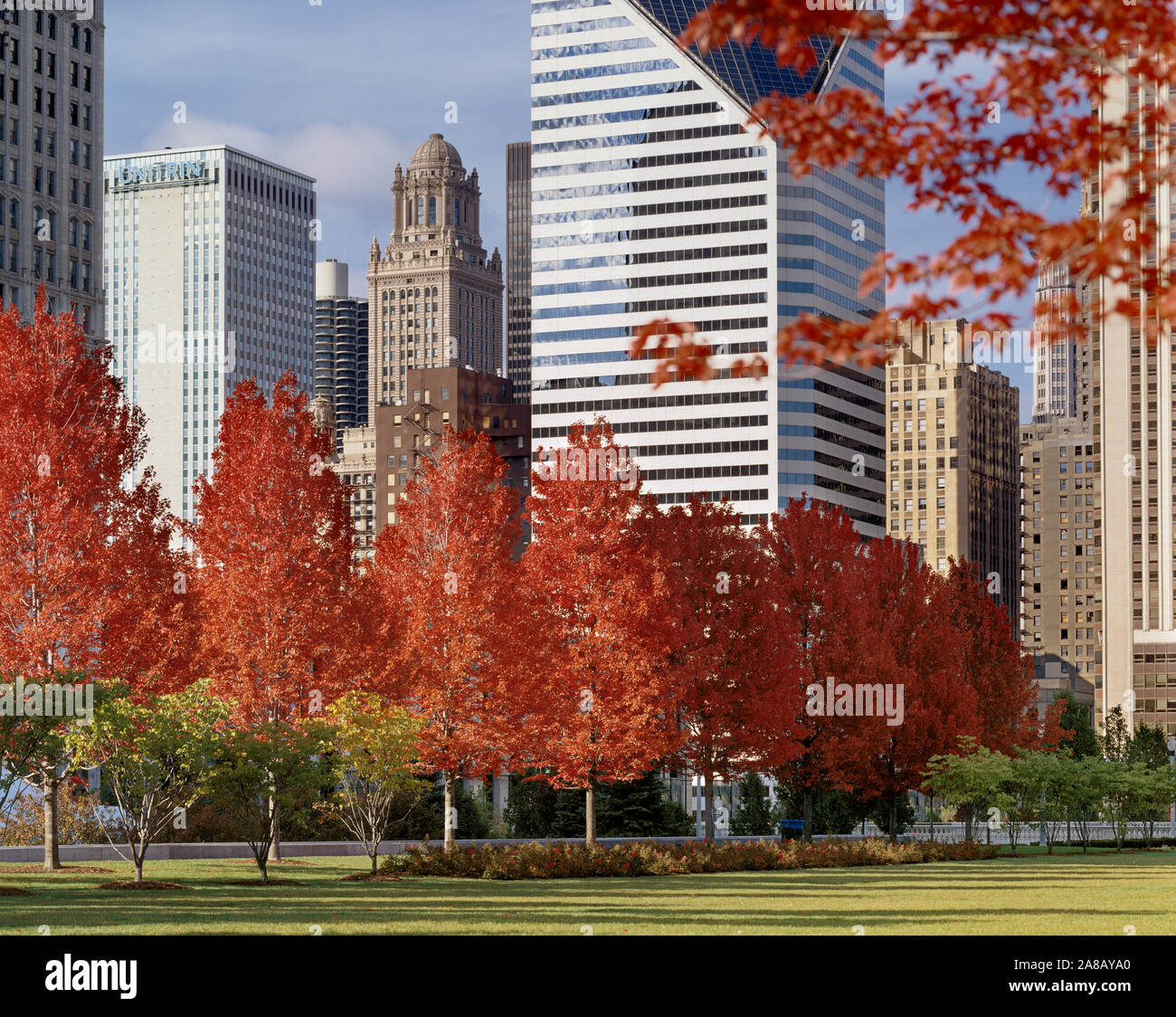 USA, Illinois, Chicago, Millennium Park, Bäume in einem Park, Herbst Stockfoto