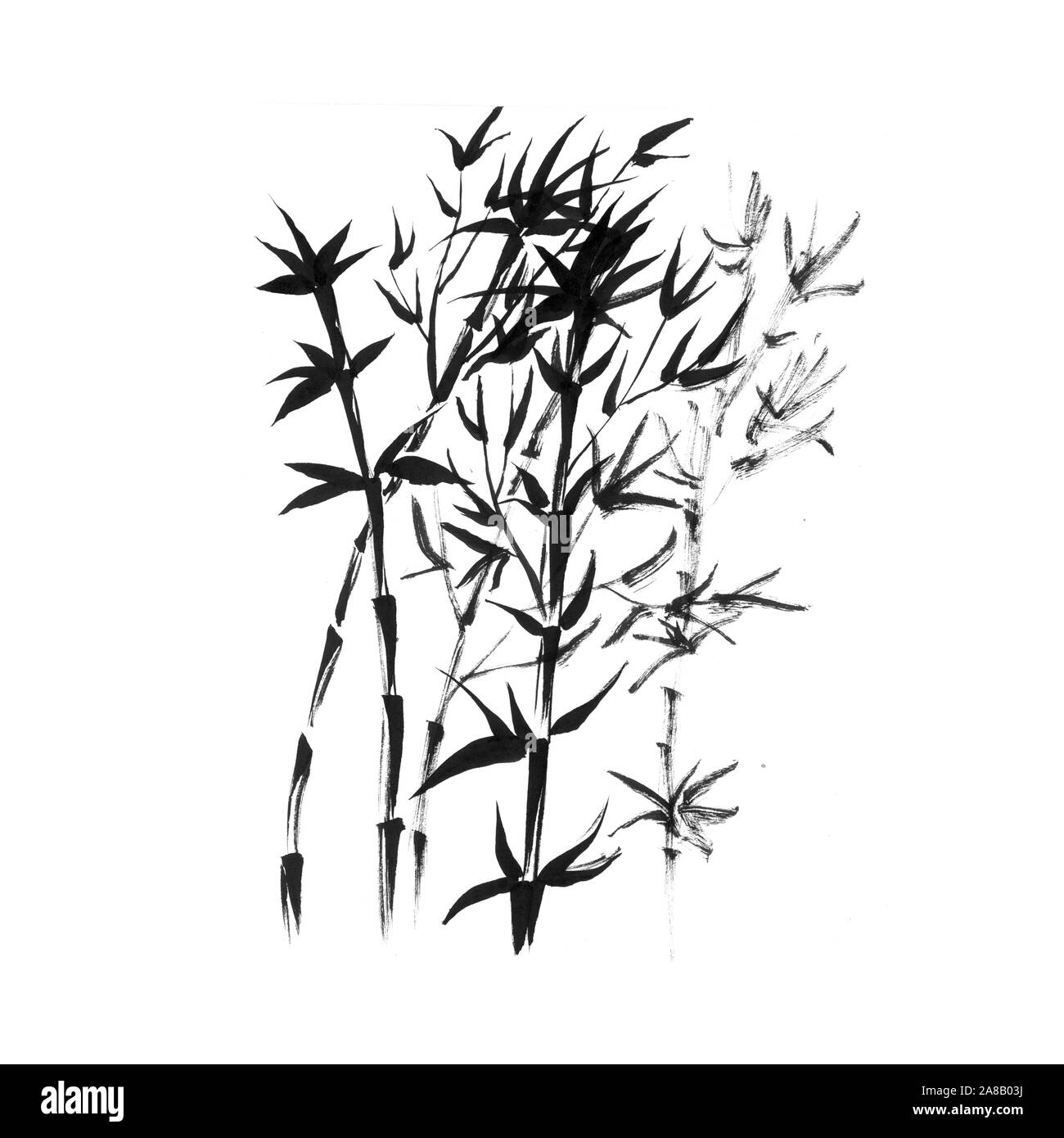 Bambus stammt im japanischen Stil Hand gezeichnet Abbildung. Zweige mit Blättern der traditionellen asiatischen schwarze Tinte Zeichnung. Botanische Aquarell minimales Design Stockfoto