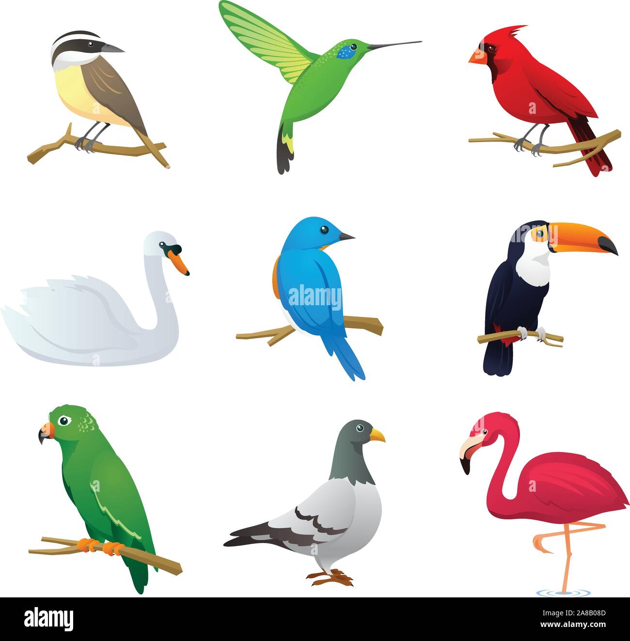 Realistische Arten Vogelsammlung, mit neun verschiedenen Vogelarten Vektor-Illustration. Stock Vektor
