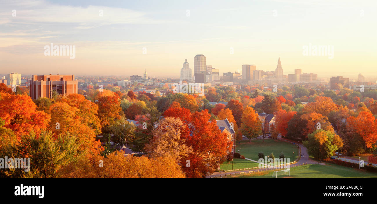 Hohe Betrachtungswinkel der Bäume im Herbst in einer Stadt, Hartford, Connecticut, USA Stockfoto