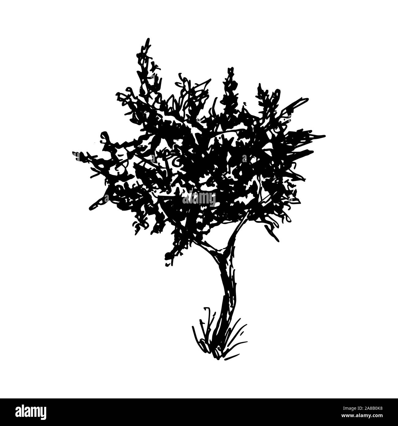 Baum mit schwarzer Tinte silhouette Vector Illustration. Im traditionellen Japanischen Stil Aquarell Zeichnung. Botanische Gestaltungselement auf Weiß isoliert. Stilisierte Hand gezeichneten Baum Silhouette mit schwarzer Farbe spritzt Stock Vektor