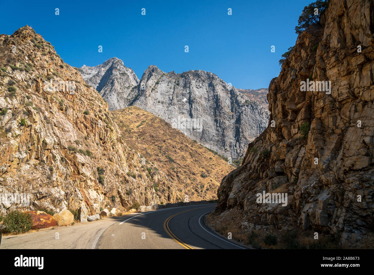 Giant Sequoia National Monument, Eastren zentralen Kalifornien Stockfoto