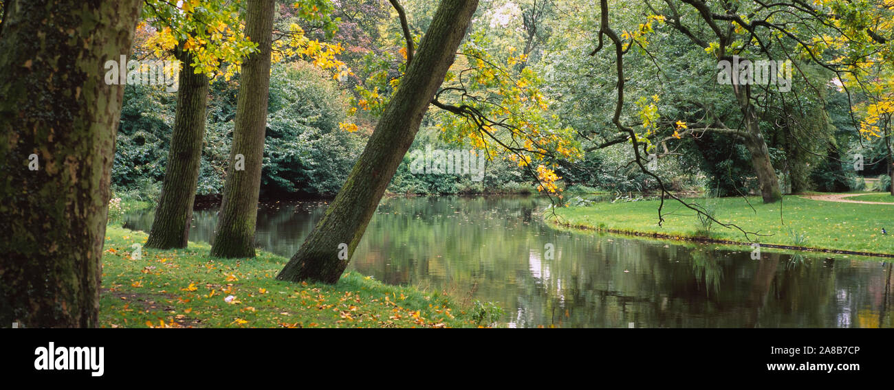 Bäume in der Nähe von einem Teich in einem Park, Vondelpark, Amsterdam, Niederlande Stockfoto