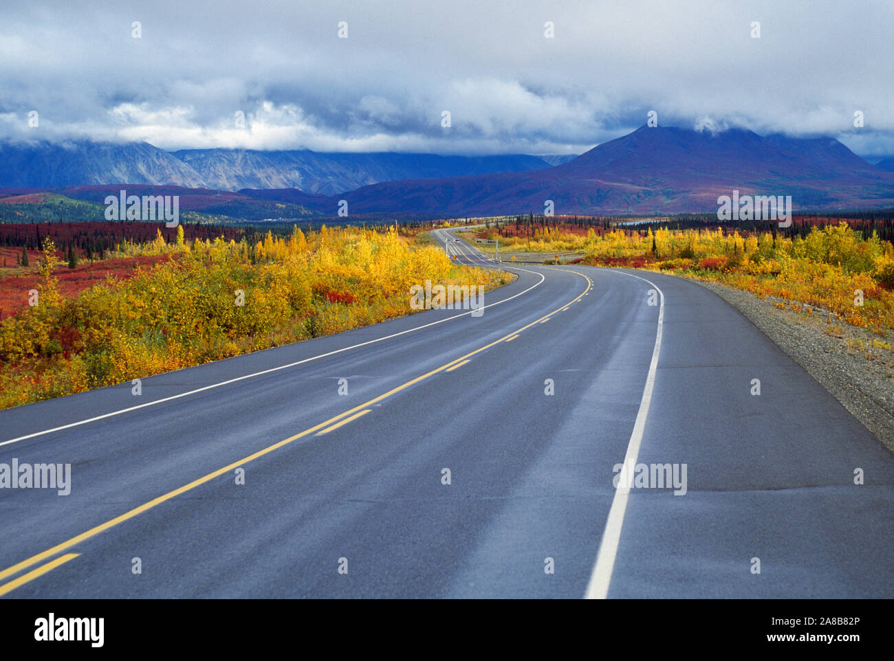 Landschaft mit Straßen, Tundra und mountanis, Denali National Park, Alaska, USA Stockfoto