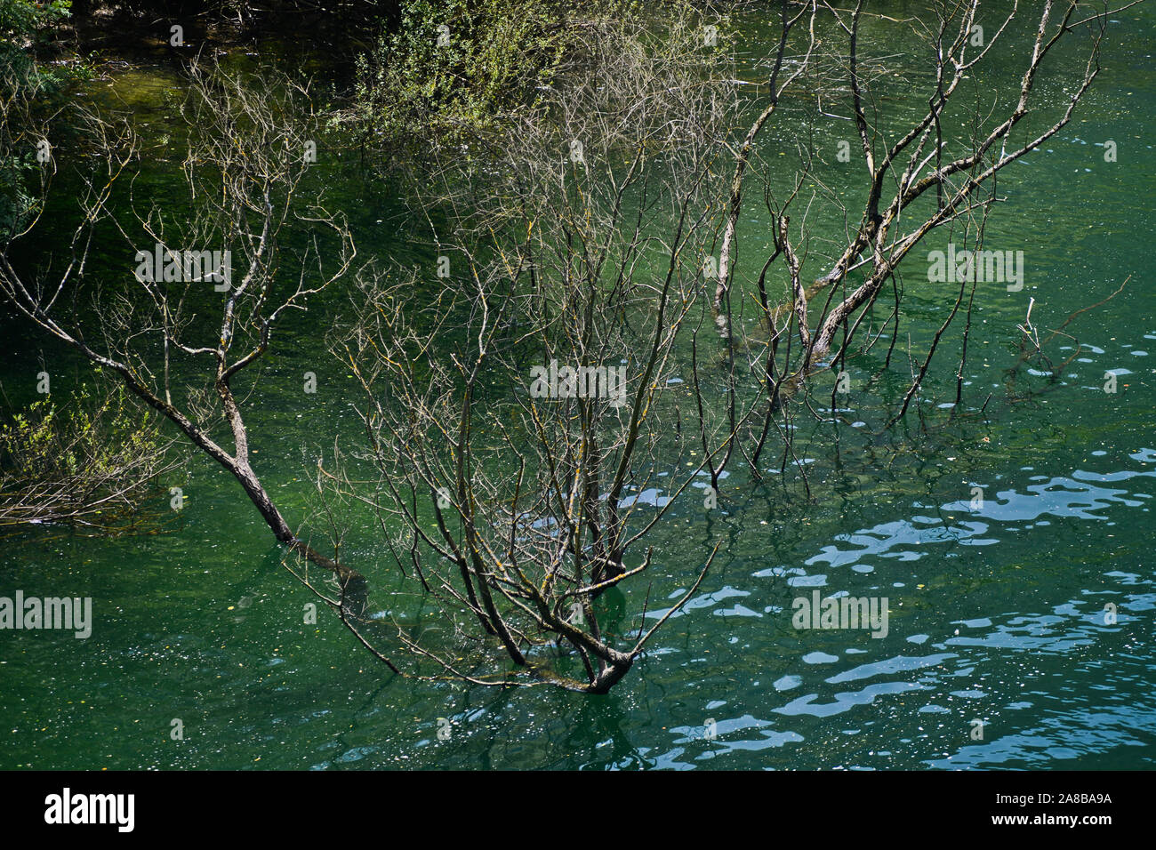 Treska Fluss überqueren der Matka Canyon, Mazedonien Stockfoto