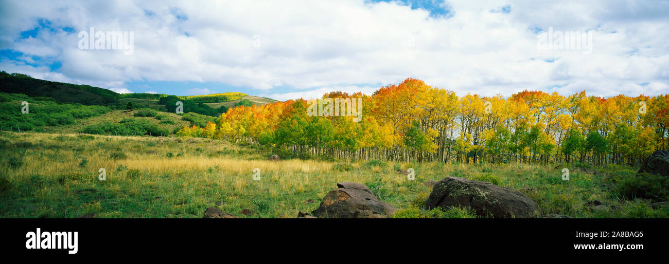 Landschaft mit Felsbrocken in der Wiese und Bäume im Herbst Stockfoto