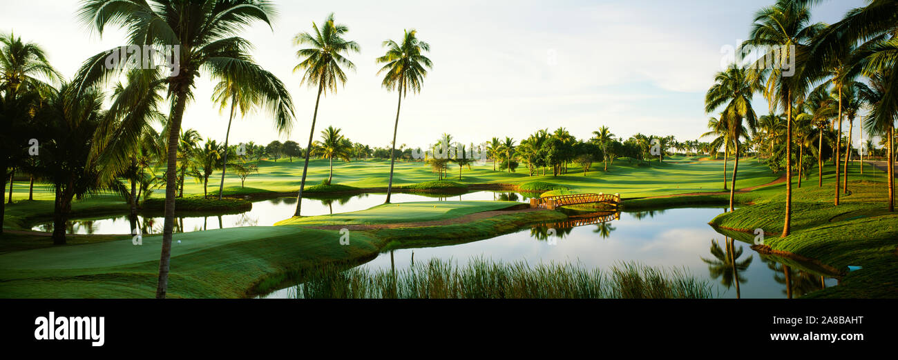 Golfplatz mit Palmen auf der Isla Navadad Resort in Manzanillo, Colima, Mexiko Stockfoto