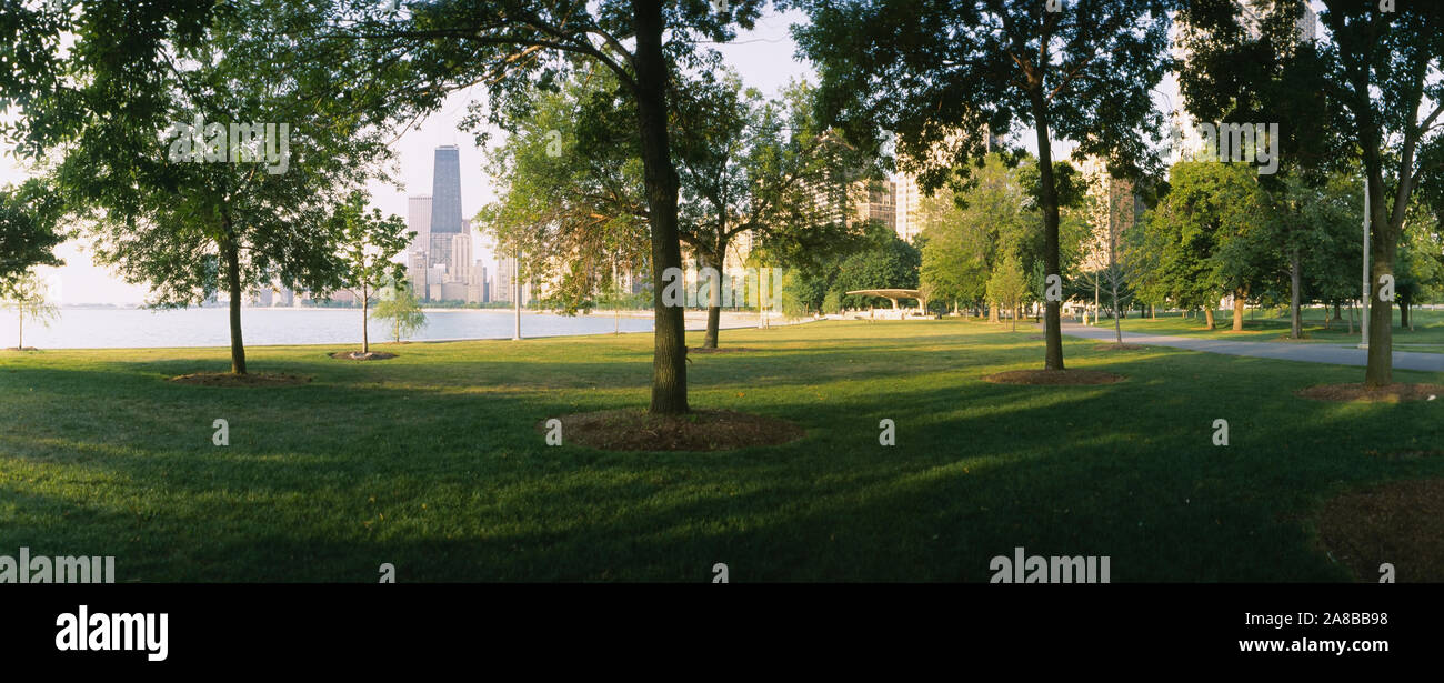 Bäume in einem Park, John Hancock Center, Lincoln Park, Chicago, Illinois, USA Stockfoto