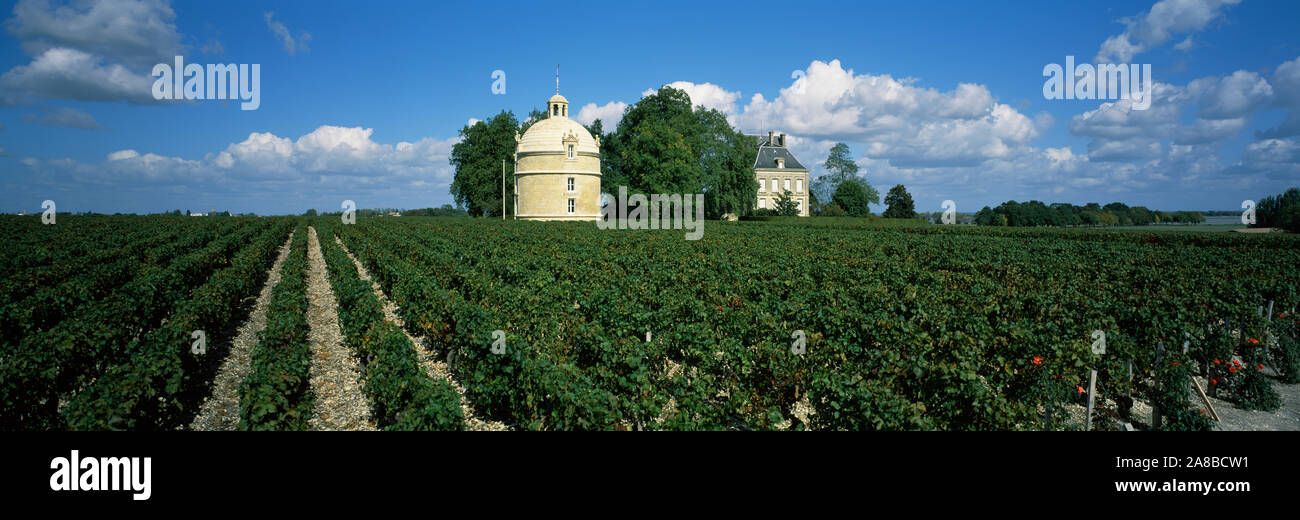 Schloss in einem Weinberg, Chateau Latour, Pauillac, Bordeaux, Medoc, Frankreich Stockfoto