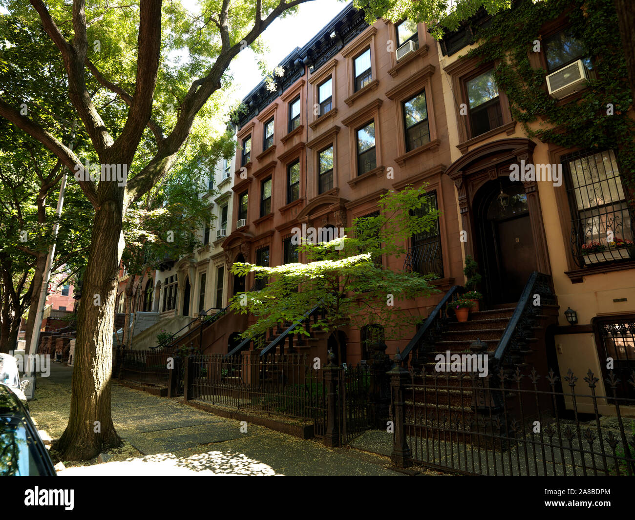 Bäume vor brownstone Häuser, Park Slope, Brooklyn, New York City, New York State, USA Stockfoto